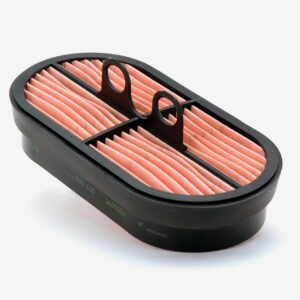 Filtro Donaldson P600975