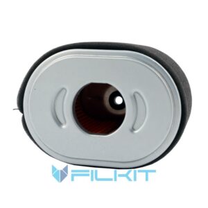 HIFI FILTER SA 12821